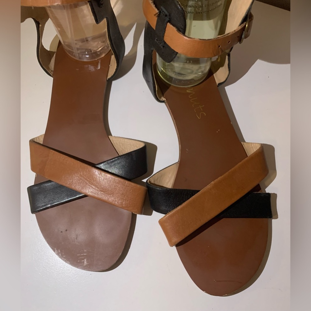 Coconuts sandals